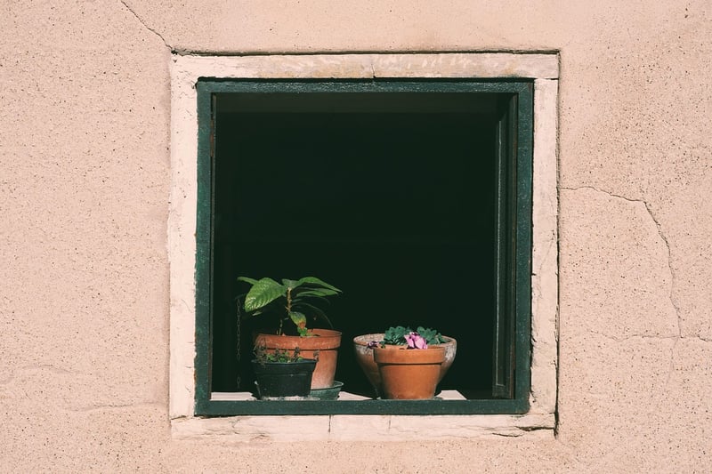 Life Coaching Insights